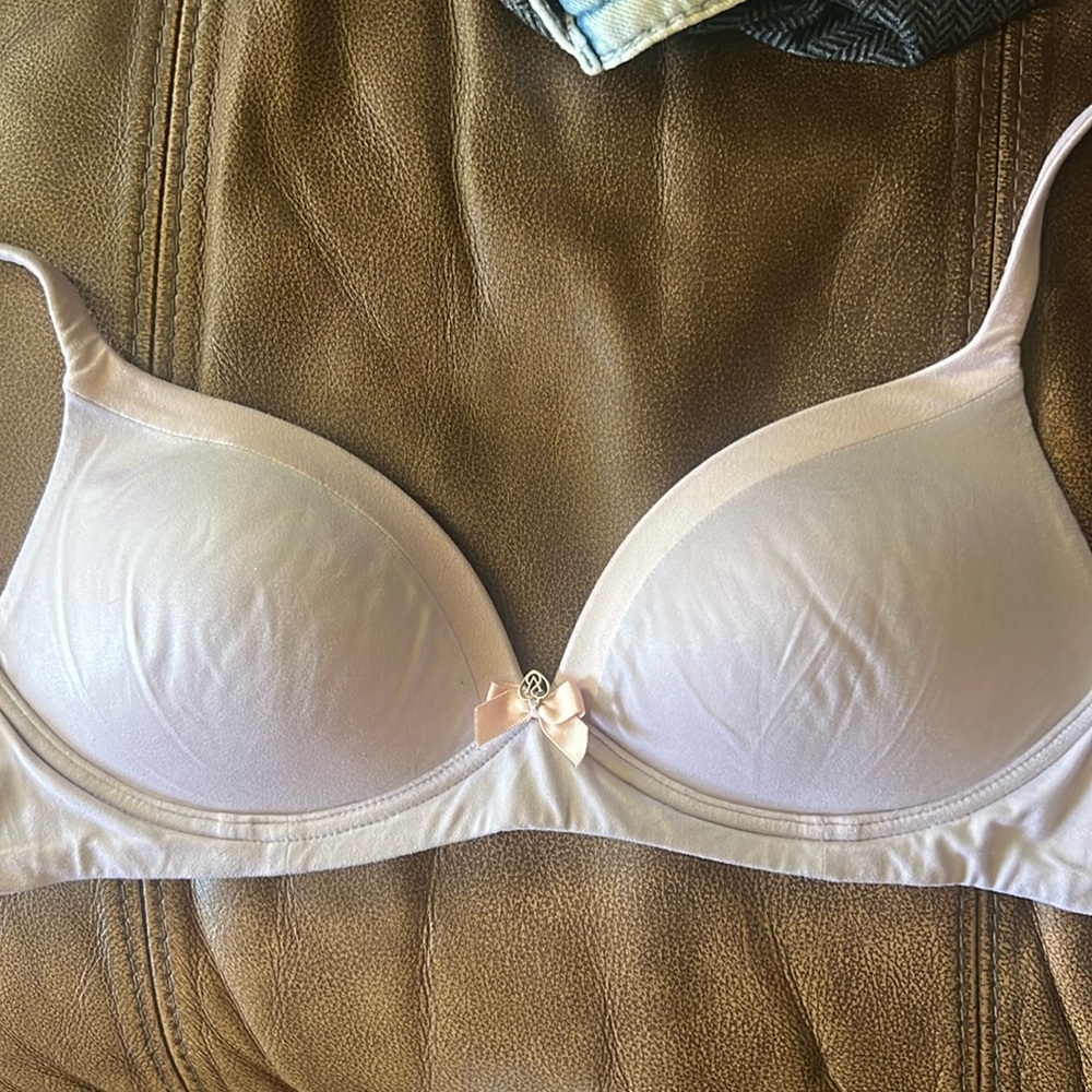 VS body by secret no wire bra, 32B, great condition, light pink and purple